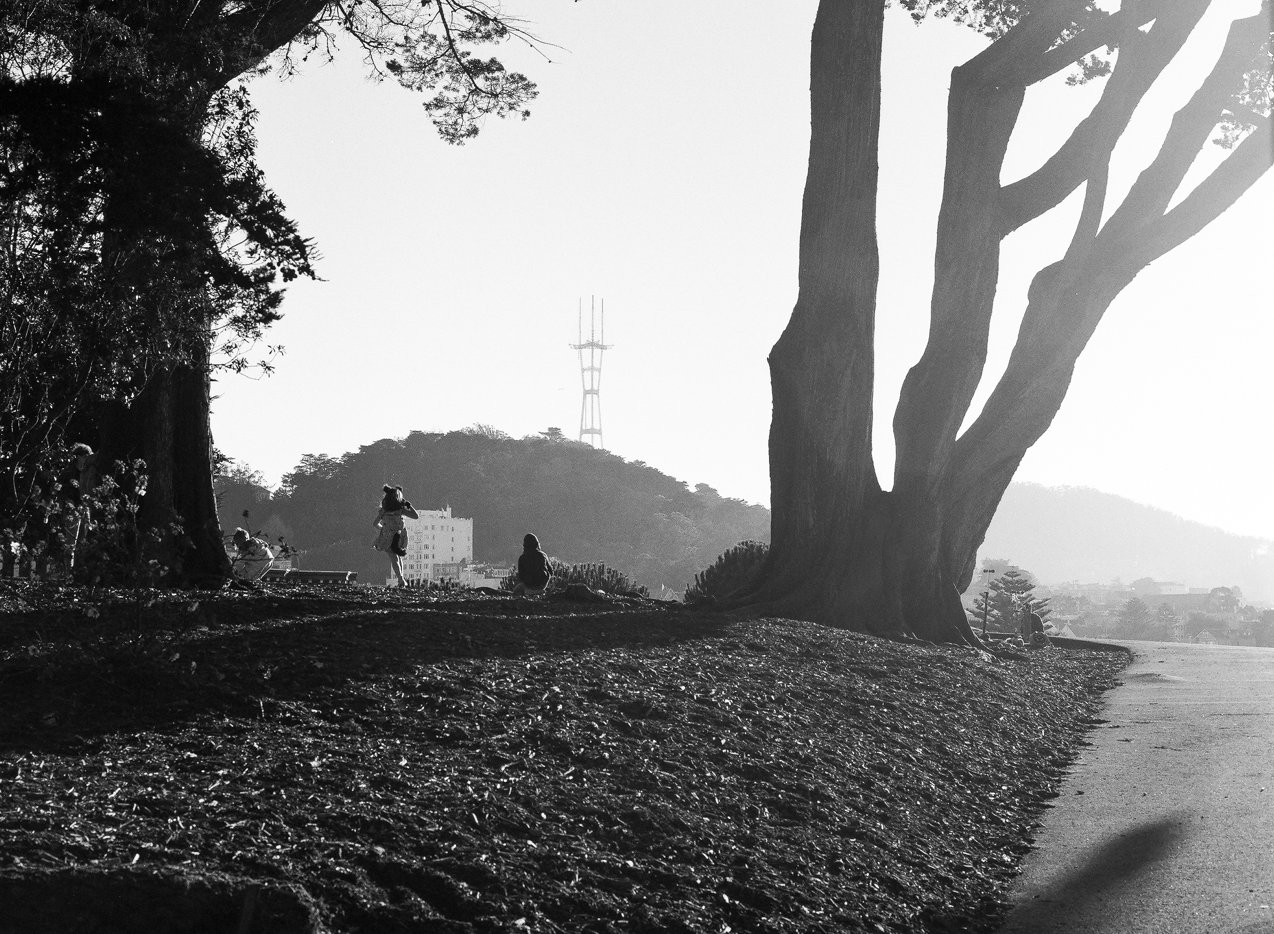 Alamo Sillouette